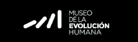 Web Museo Evolución Humana