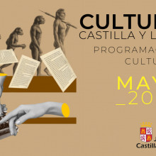 Mayo cultura