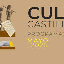 Mayo cultura
