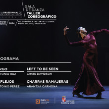 TALLER COREOGRÁFICO EPDCYL VALLADOLID