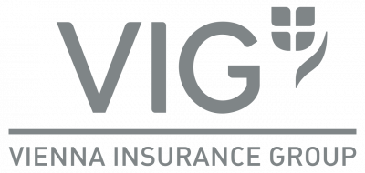 VIG logo